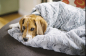 P.L.A.Y Hundebett Hundeschlafsack Snuggle Bed [Details]